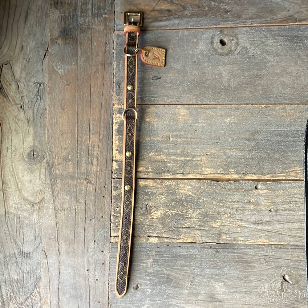 Louis Vuitton dog collar and leash